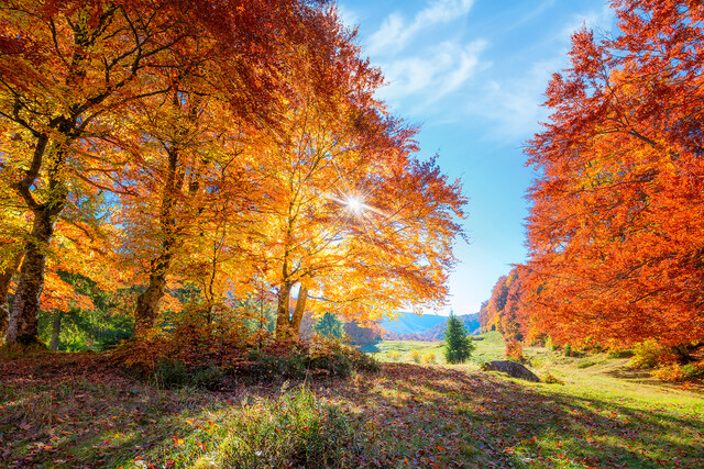 © Taiga - stock.adobe.com